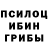Псилоцибиновые грибы мицелий Ridhi Nanda