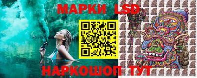 амф Гатчина