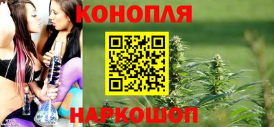 сатива Гагарин