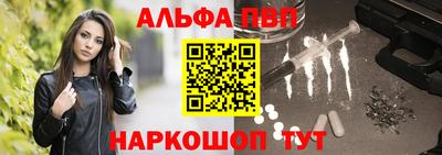 амф Гатчина