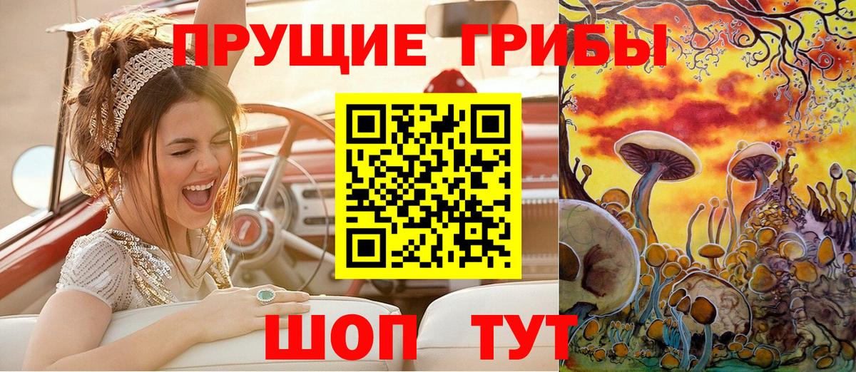Дедовск  Галлюциногенные грибы Psilocybine cubensis  Вход с VPN 