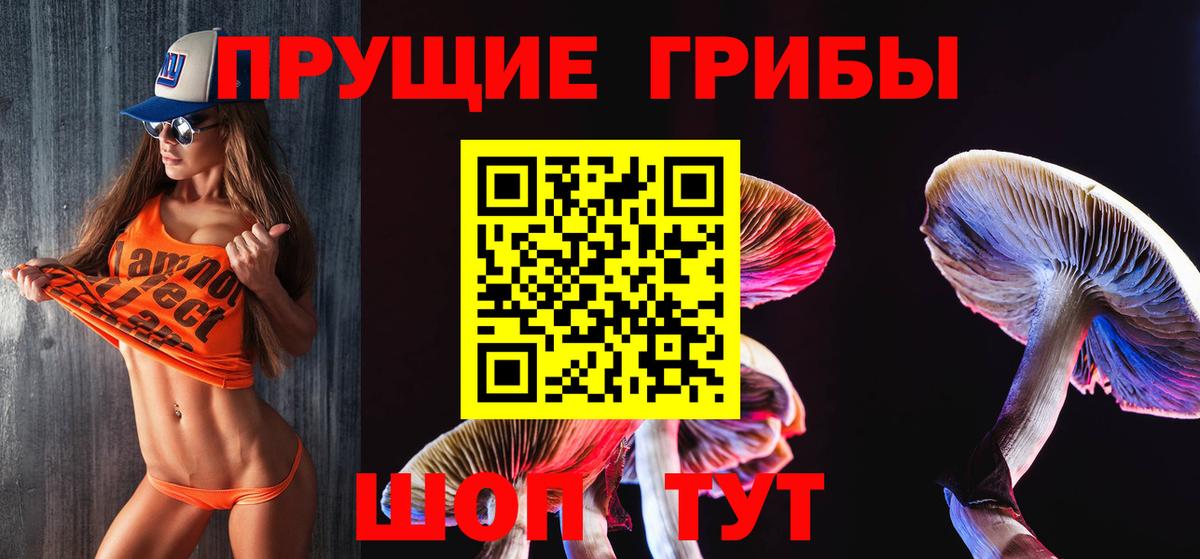 Галлюциногенные грибы мухоморы  Дедовск  Псилоцибиновые грибы ЛСД 