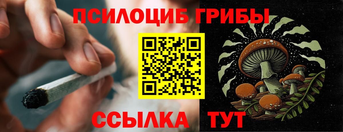 Псилоцибиновые грибы ЛСД Дедовск