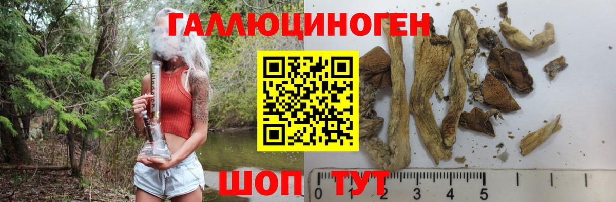Псилоцибиновые грибы Cubensis Дедовск
