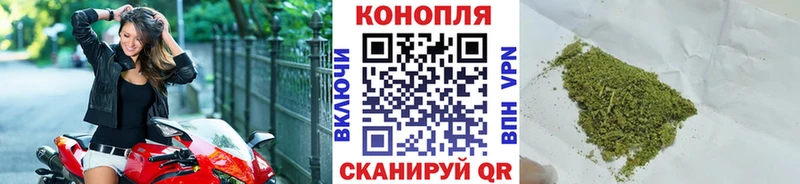Канабис ГИДРОПОН Дедовск